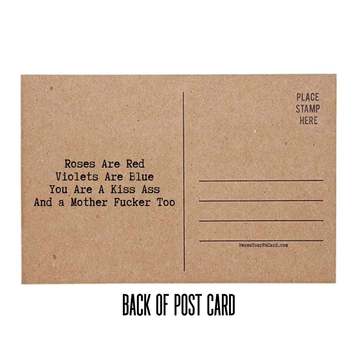 Roses Are Red Violets Are Blue You Are a Kiss Ass and a Mother Fucker Too Back ofPost Card with lines for address and place for stamp