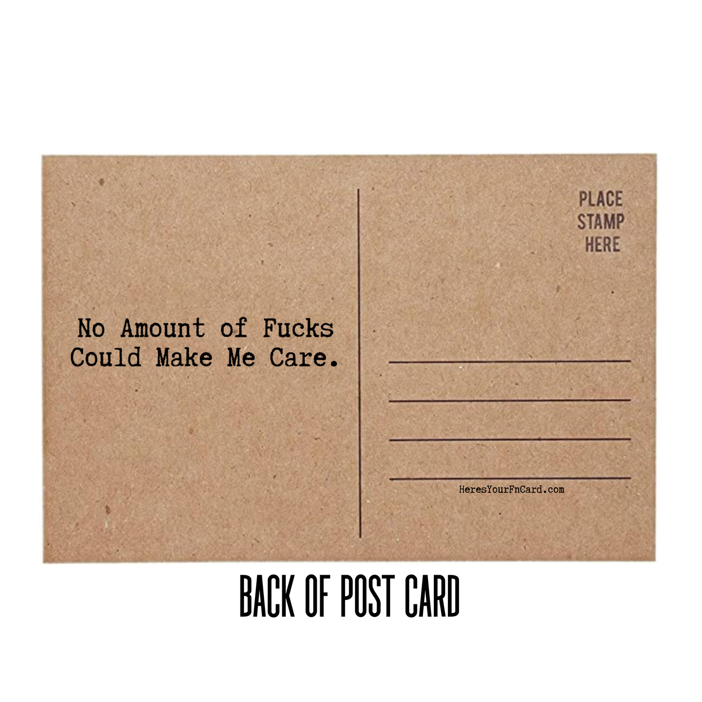 No Amount of Fucks Could make Me Care Back of Post Card with lines for address and place for stamp