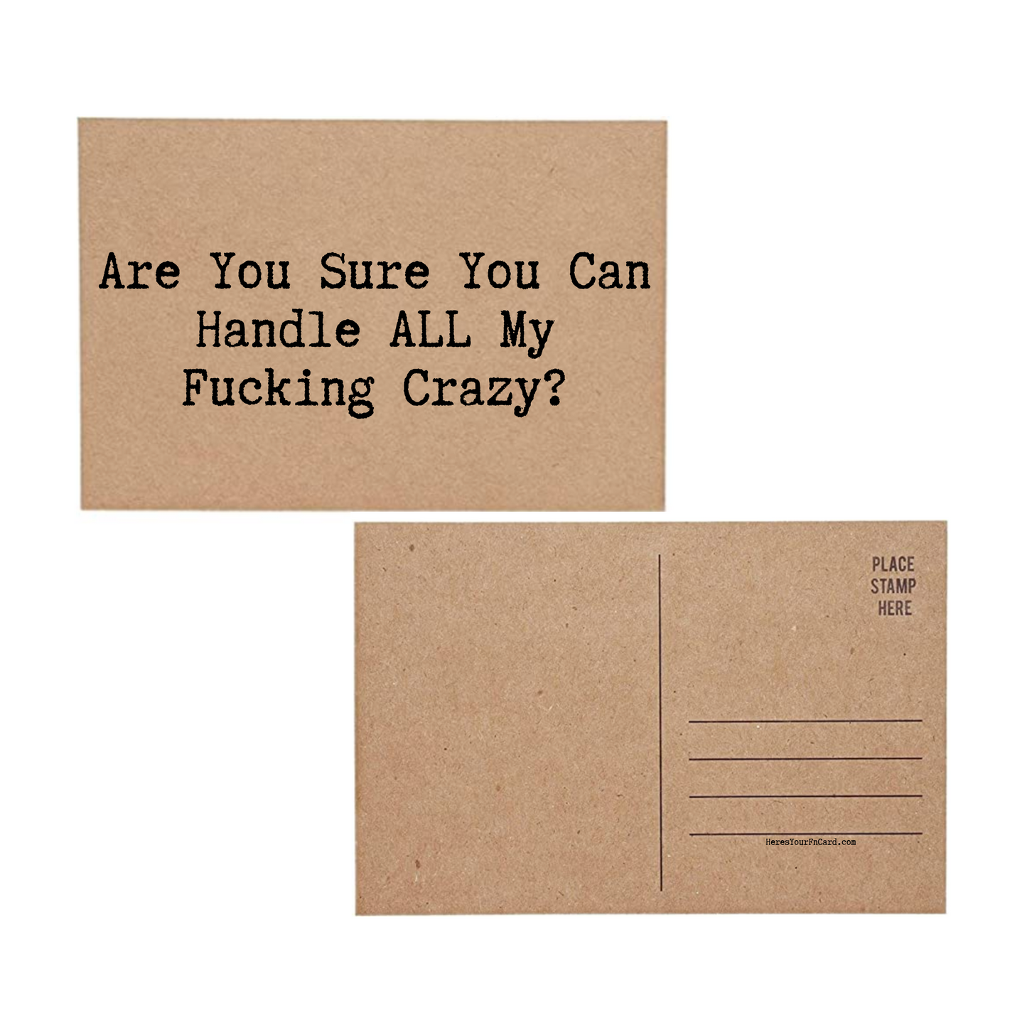 Are You Sure You Can Handle All My Fucking Crazy?- Inappropriate Profanity Post Card