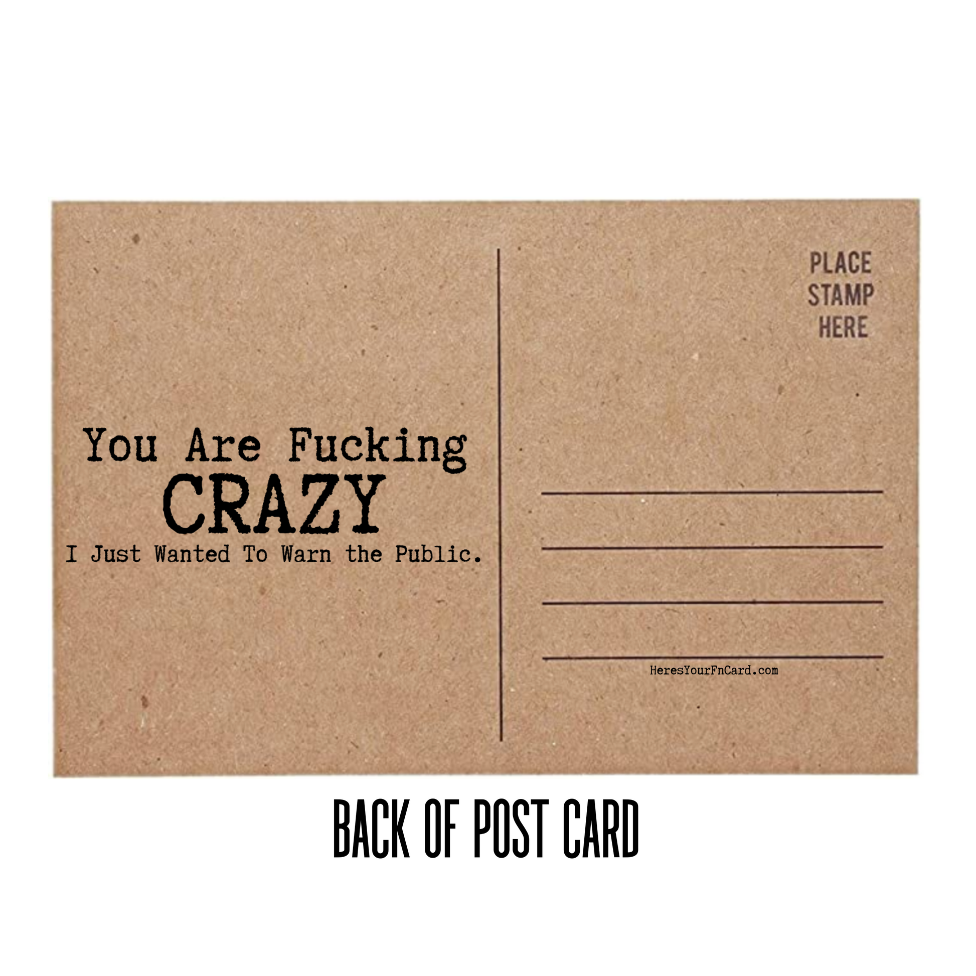 You Are Fucking Crazy I Just Wanted To Want the Public back of Post Card with lines for address and place for stamp