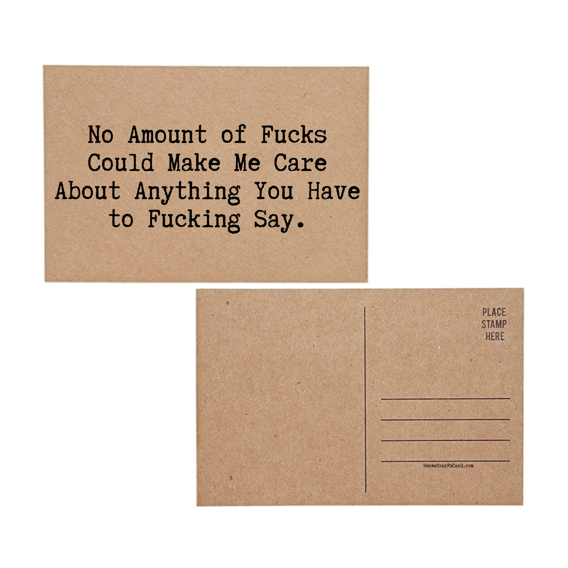 No Amount of Fucks Could Make Me Care About What You Have to Say- Inappropriate Profanity Post Card